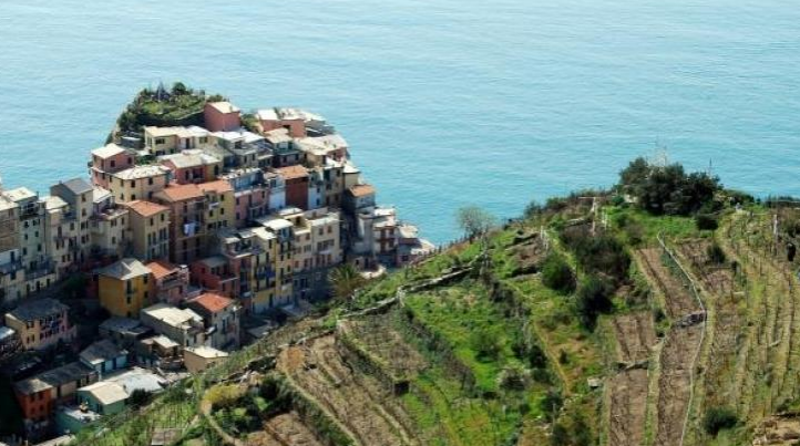 Il Vermentino della Liguria dei Colli di Luni: quattro produttori a confronto